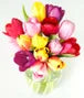 Rainbow Tulip Bouquet with White Wine
