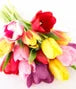 Rainbow Tulip Bouquet with White Wine