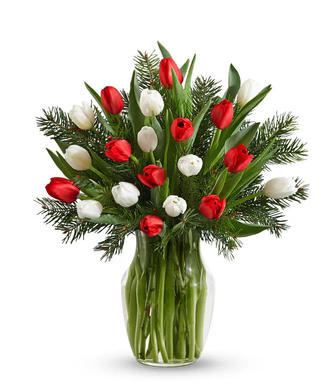 18 Christmas Tulips