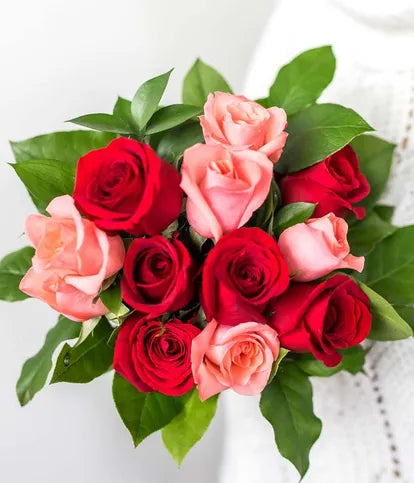 One Dozen Pink & Red Roses with Rosé Wine