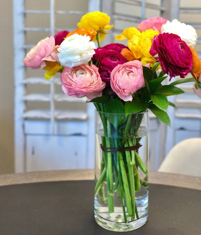 Rainbow Ranunculus