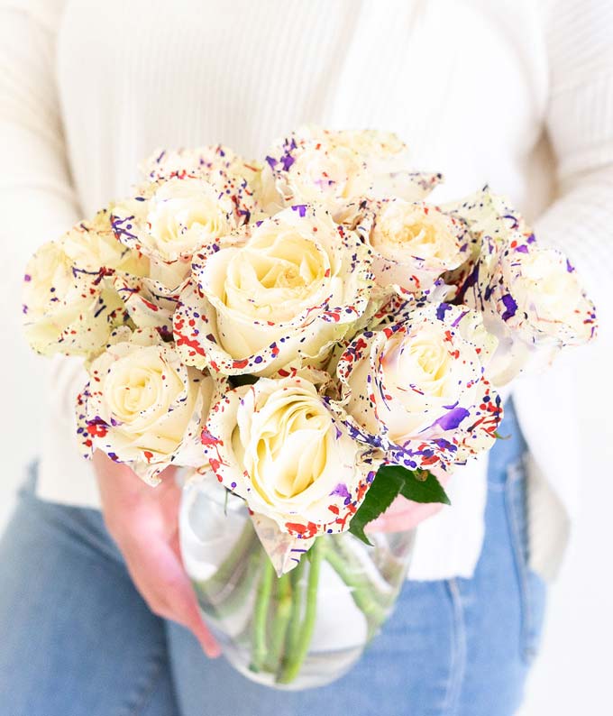 One Dozen Confetti Roses