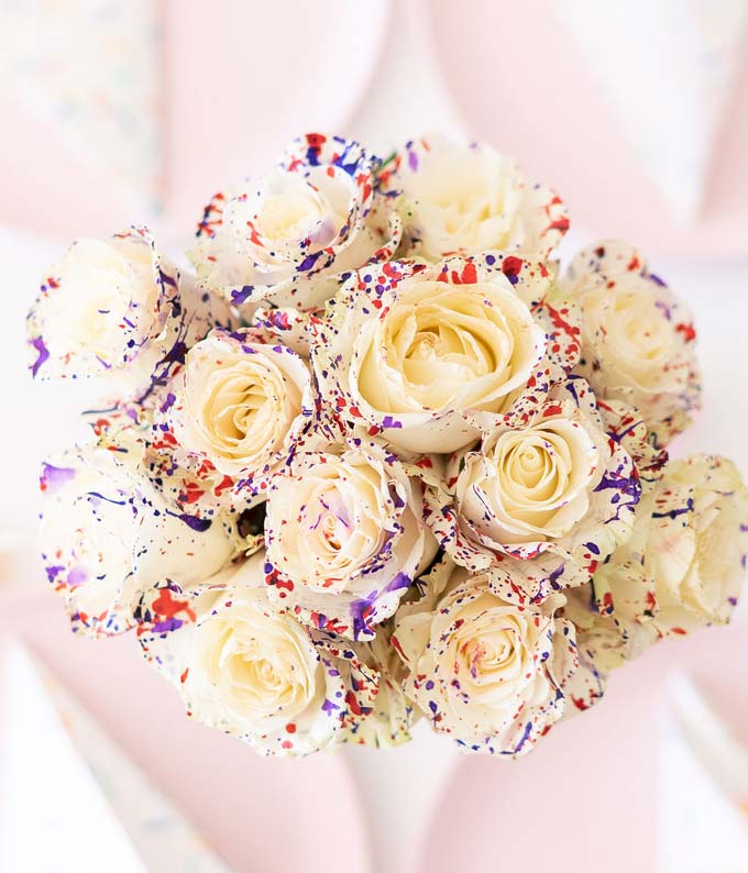 One Dozen Confetti Roses