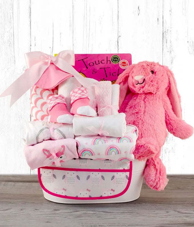 Bringing Home Baby Deluxe Gift Basket Pink The Gift Basket Store