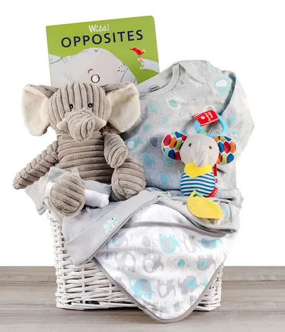 Elephant Gift Basket for Baby