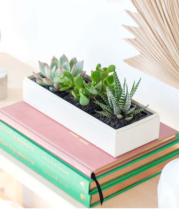 Lula&#39;s Garden I Love You Succulent Box