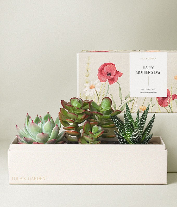 Lula's Garden Mother's Day Jewel Garden