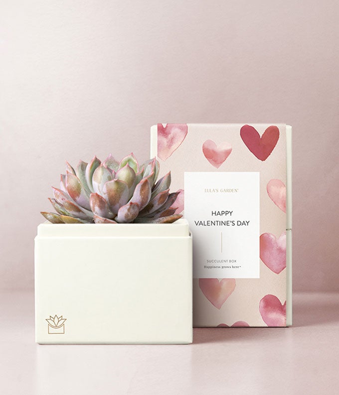 Lula's Garden Valentine's Day Bliss