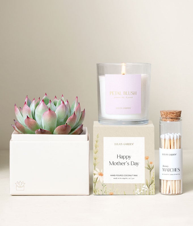Lula's Garden Mother's Day Bliss Garden Gift Set