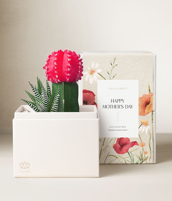 Lula's Garden Mother's Day Rosé Garden