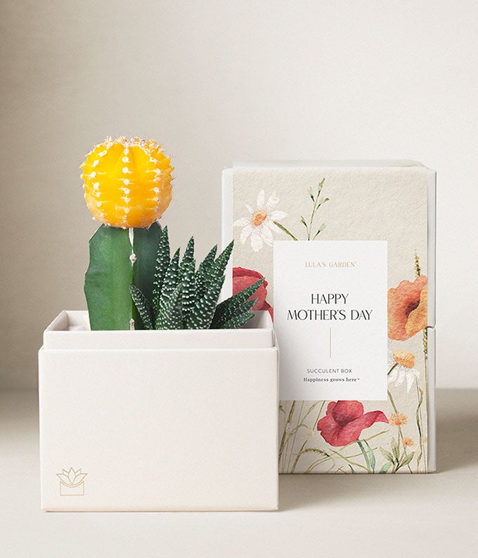 Lula's Garden Mother's Day Ray Garden