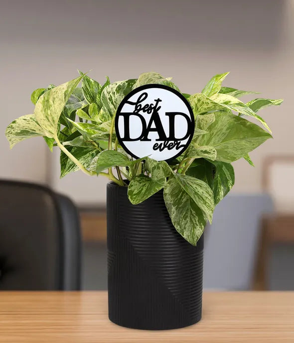 Leaf It to Dad Pothos Plant