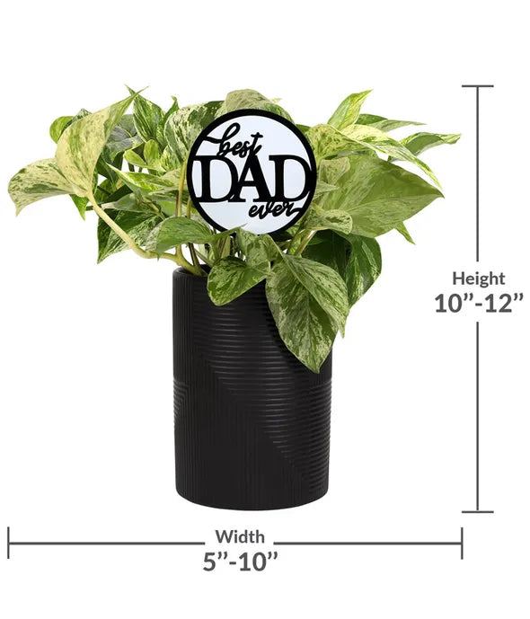 Leaf It to Dad Pothos Plant