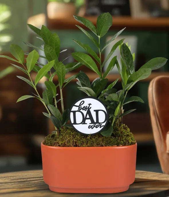 Best Dad Ever ZZ Plant