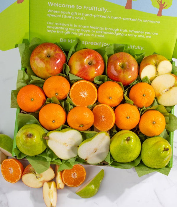 Ultimate Fruit Gift Box The Gift Basket Store