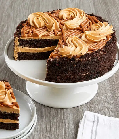 Salted Caramel Chocolate Cake