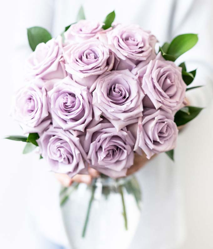 One Dozen Purple Roses