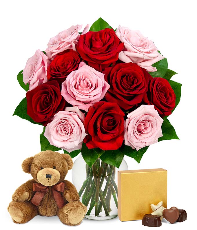 One Dozen Red &amp; Pink Roses with Chocolates and a Bear