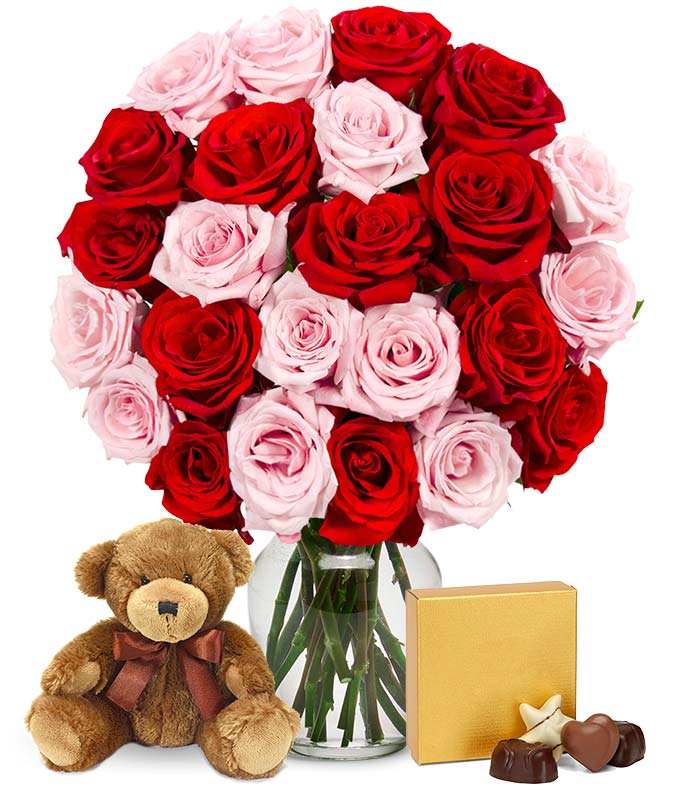 Two Dozen Red &amp; Pink Roses with Chocolates and a Bear