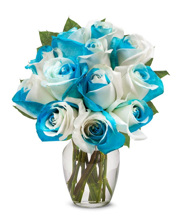 One Dozen Bi-Color Blue Roses