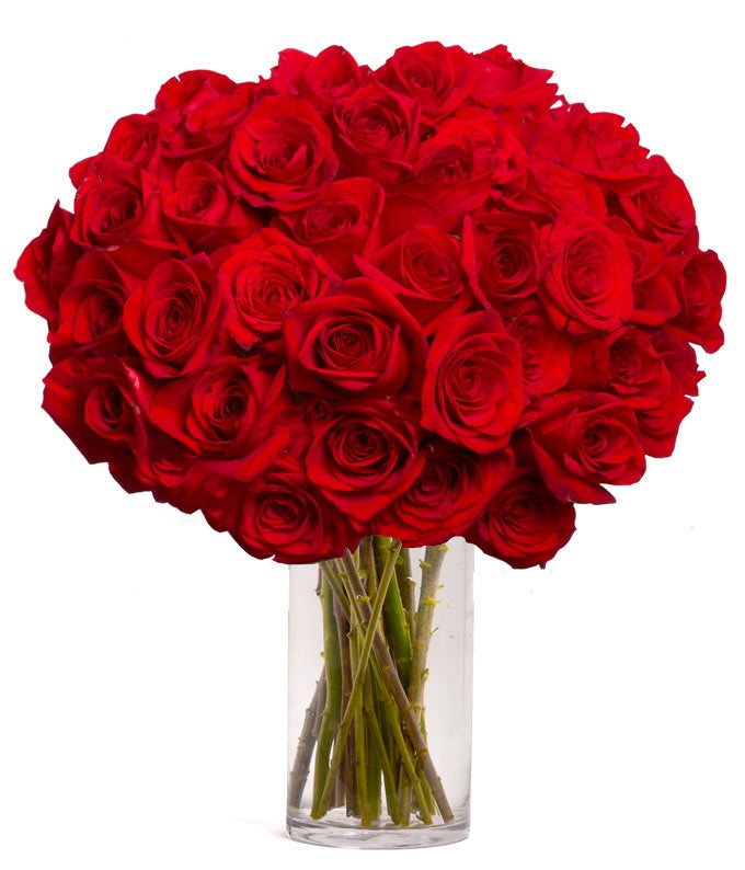 50 long stemmed red roses