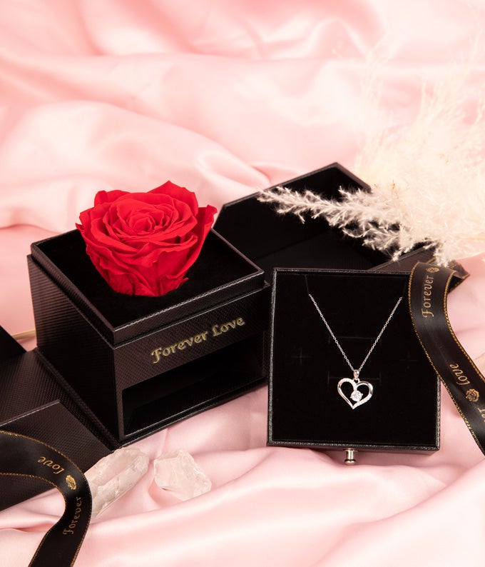 Red Rose &amp; Necklace Gift Set