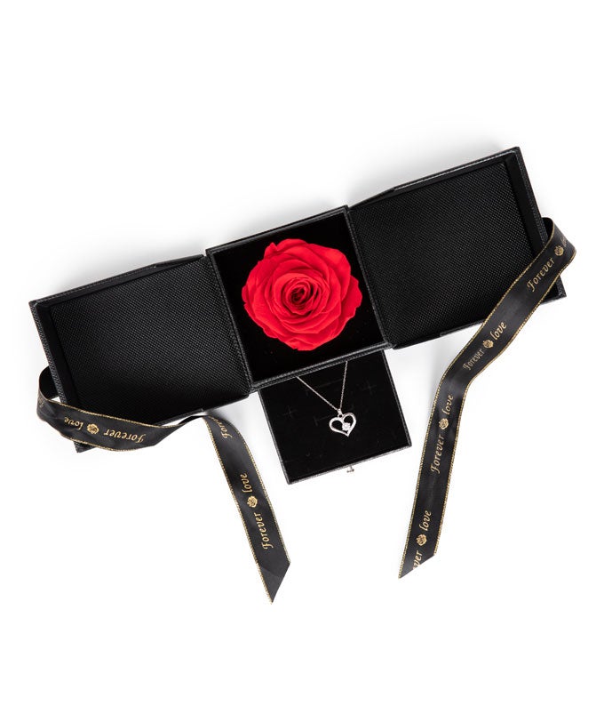 Red Rose &amp; Necklace Gift Set