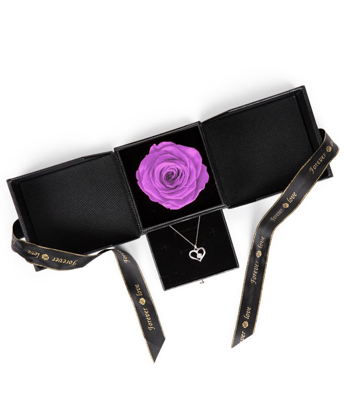 Purple Rose &amp; Necklace Gift Set