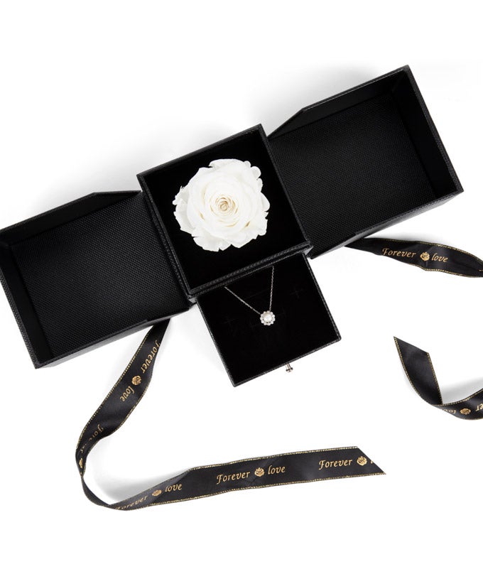 Sympathy Rose &amp; Necklace Gift Set